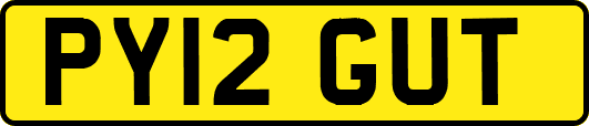 PY12GUT