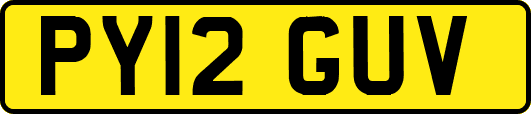 PY12GUV