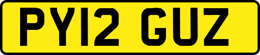 PY12GUZ