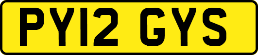 PY12GYS
