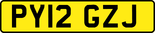 PY12GZJ