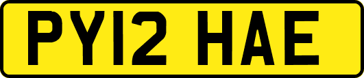 PY12HAE