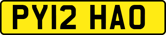 PY12HAO