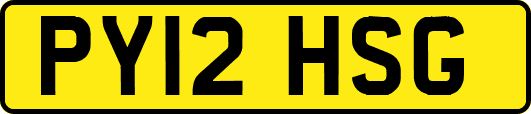 PY12HSG