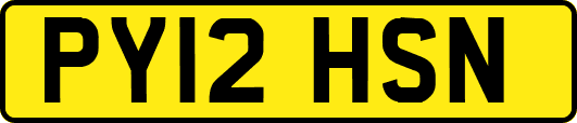 PY12HSN
