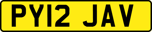 PY12JAV