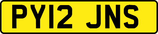 PY12JNS