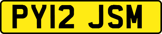 PY12JSM