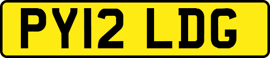 PY12LDG