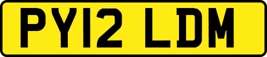 PY12LDM