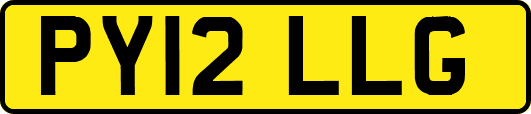PY12LLG