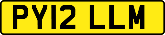 PY12LLM