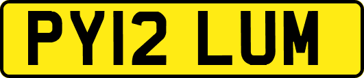 PY12LUM