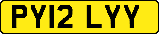 PY12LYY