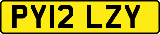PY12LZY