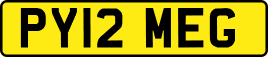 PY12MEG