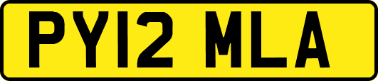 PY12MLA