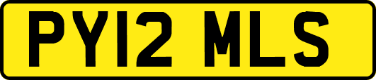 PY12MLS