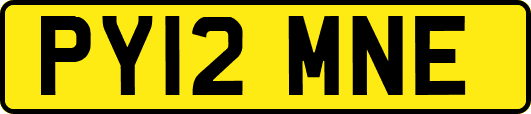 PY12MNE