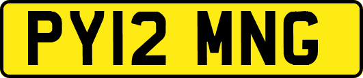 PY12MNG