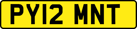 PY12MNT