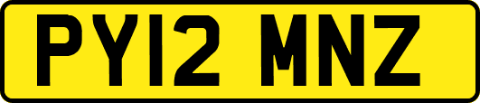 PY12MNZ