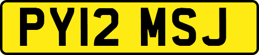 PY12MSJ