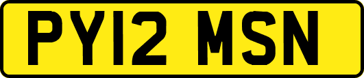 PY12MSN