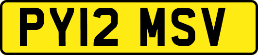 PY12MSV