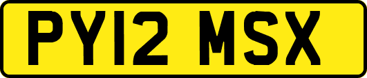 PY12MSX