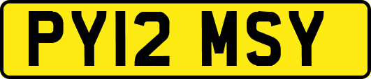PY12MSY