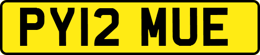 PY12MUE