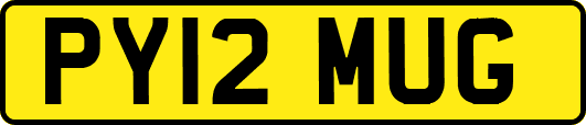 PY12MUG