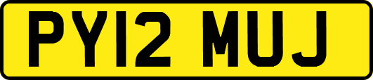 PY12MUJ