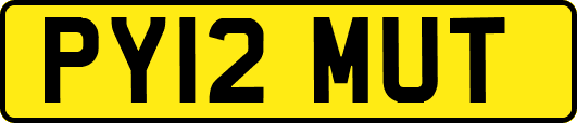 PY12MUT