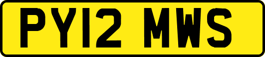 PY12MWS