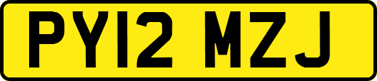 PY12MZJ