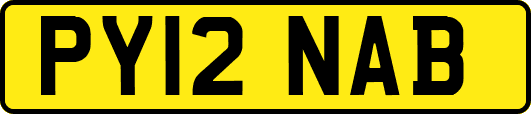 PY12NAB