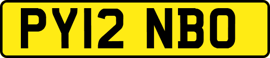 PY12NBO