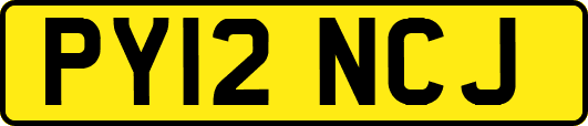 PY12NCJ