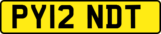 PY12NDT