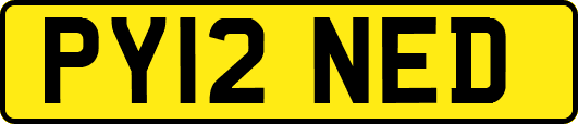 PY12NED