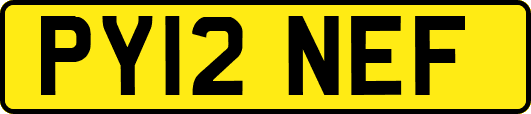 PY12NEF