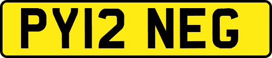 PY12NEG