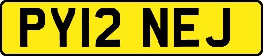 PY12NEJ