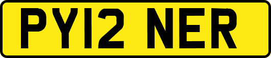 PY12NER