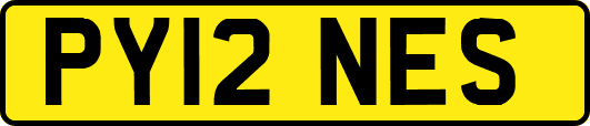 PY12NES