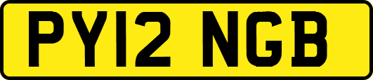 PY12NGB