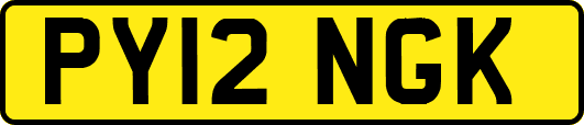 PY12NGK