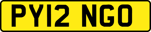 PY12NGO